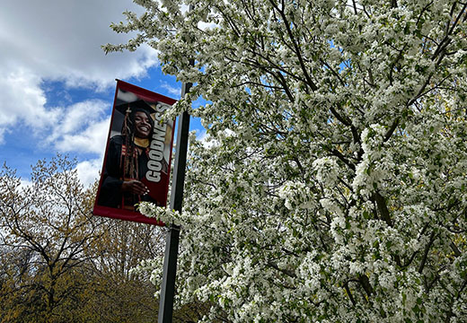 Fisher Goodness banner on flagpole surrounded by blossoming spring tree.